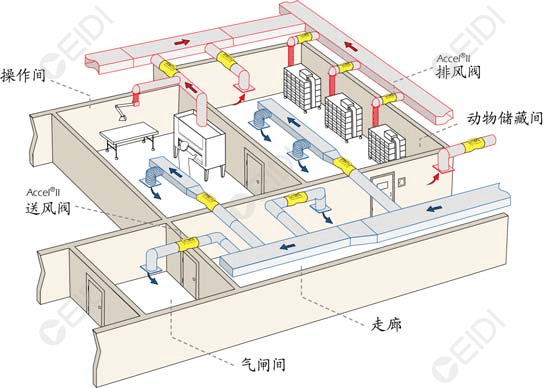 动物实验室暖通设计：净化动物房装修  CEIDI西递